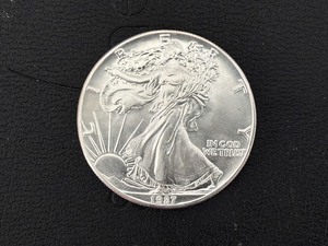 1987 Silver Eagle