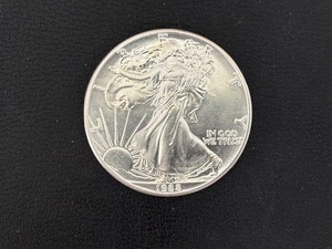 lot 32 image: 1988 Silver Eagle