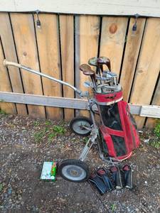 lot 15 image: Vintage Golf Club Set with Bag and Accessories