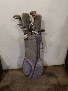 lot 191 image: Complete Set of Golf Clubs with Bag