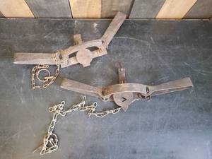 lot 14 image: Lot of 2 Oneida Animal Traps