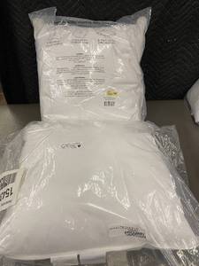 lot 20 image: 2 Pack Bokser Home White Down Alternative Throw Pillow Inserts 20 x 20