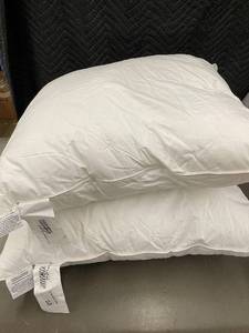 lot 26 image: Set of 2 Bokser Home Euro Down Alternative Throw Pillows 26 x 26