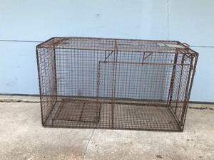 lot 436 image: Live Trap for Medium Sized Animals - Medium to Large Dogs - Bobcat - Fox and Other Animals Similar in Size