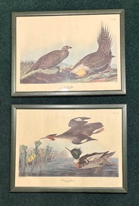 lot 55 image: Cock of the Plains and Red-Breasted Morgansor