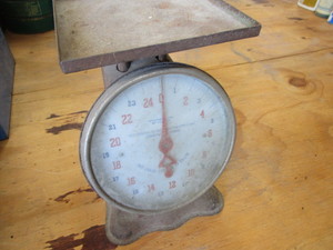 lot 141 image: Am. Family Scale
