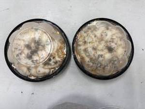 lot 203 image: E. 2x Salted Carmel Chocolate Pies