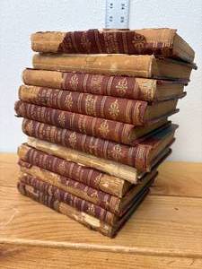 lot 58-J2025 image: Set of 16 Vintage 1967 Companion Library Double-Classic Books