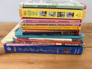 lot 95-J2025 image: Assortment of Preteen & Young Adult Books