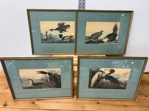 lot 164-J2025 image: Set of 4 Framed Audubon Bird Prints  Loons, Wood Ducks, Cranes, Greater Sage-Grouse