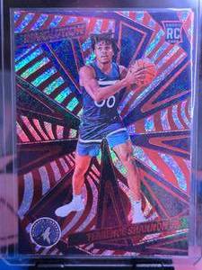 lot 166 image: TERRENCE SHANNON JR 2024-25 PANINI REVOLUTIONS ROOKIE CARD