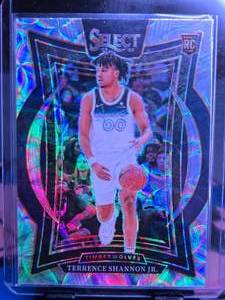 lot 169 image: TERRENCE SHANNON JR 2024-25 PANINI SELECT CONCOURSE SCOPPED ROOKIE CARD