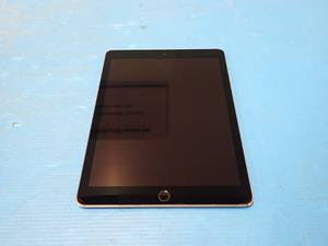 lot 41 image: Apple&nbspiPad Pro 9.7 A1674  256GB of storage  Cellular Carrier Unlocked  Includes Charging Cable &nbspWhite spot in center left side barely visible