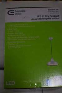 lot 21 image: Pendent Light