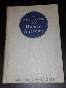 lot 908 image: Vintage and Antique Book  Intro to Human Anatomy (1949)