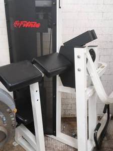 lot 133 image: LIFE FITNESS ARM CURL