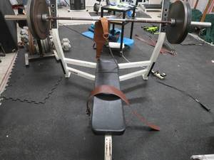 lot 142 image: CYBEX WEIGHT BENCH