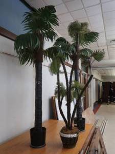 lot 171 image: DECORATIVE PALM TREE TRIO