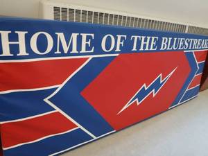 lot 238 image: FOAM GYM PAD COVER