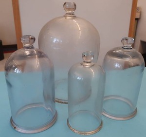 lot 253 image: 4 GLASS DOMES