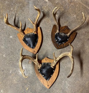 lot 188 image: Three Decorative Antler Mounts