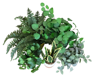 lot 184 image: Faux Foliage Options