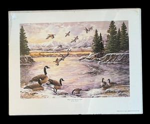 lot 339 image: Wings on the Morning Light Limited Edition Unframed Print by Dave Maloney