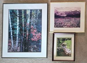 lot 270 image: Three Framed & Matted Nature Photographs