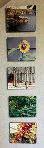 lot 63 image: Set of Five Beautiful Photograph Prints