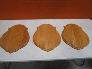 lot 14-B image: (3) Taxidermy Head Mount Plaques 16x20