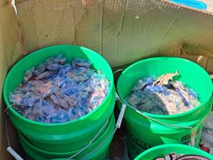 lot 106 image: Lot of (2 5-gal Buckets) Silica Gel Packets