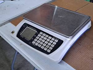 lot 244 image: Tree LCT Series Counting Scale LCT-33