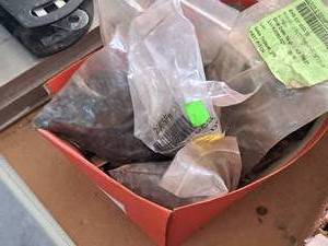 lot 349 image: Lot of (1 Box) Hex Head Machine Screws