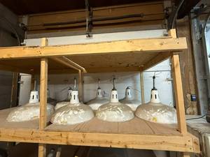 lot 38 image: 8 Light Fixtures