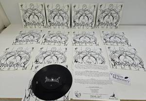lot 244 image: Lot of THE TERRORDACTYLS Vinyl Records