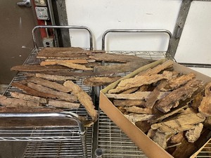 lot 269 image: LARGE Lot of Natural Wood Sanded Bark Sections for Painting or Art Projects