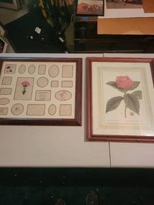 lot 365 image: Pair of Framed Floral Artwork - Collage and Botanical Print