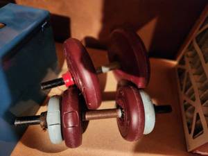 lot 81 image: Set of Adjustable Dumbbells with Maroon and Blue Plates