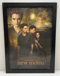 lot 13 image: Large Framed The Twilight Saga New Moon 3d Motion poster 21 x 29
