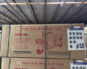 lot 2040 image: 2025 SDLANCH Electric Tricycle Mini Golf Cart (IRGC40)