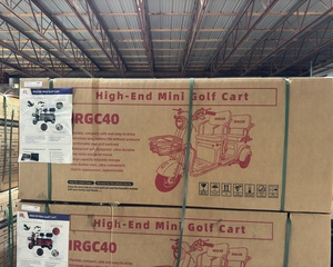 lot 2340 image: 2025 SDLANCH Electric Tricycle (IRGC40)