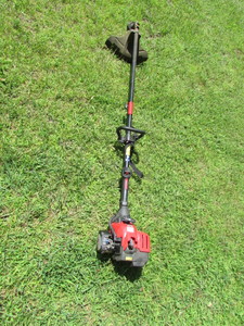 lot 12 image: TROY-BILT Weed Whip
