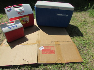 lot 44 image: Various Coolers