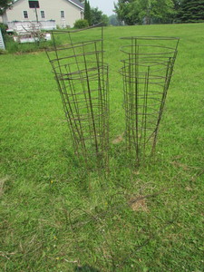 lot 86 image: Tomato Cages