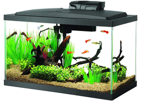 lot 357 image: Aqueon Aquarium Fish Tank Starter Kit with LED Lighting 10 Gallon Fish Tank