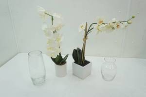 lot 95 image: Artificial Potted Plants & 2 Glass Vases