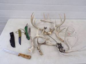 lot 49 image: Antlers, Knives, Ducks Unlimited Cup and Saw
