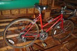 lot 173 image: Galaxy II Speed Bike