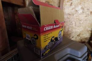 lot 120 image: Larin 1 Ton Chain Hoist