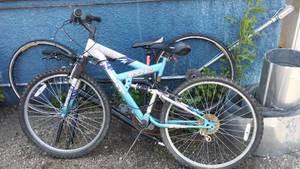 lot 151 image: Mens Power Climber 18 Speed , NEXT.